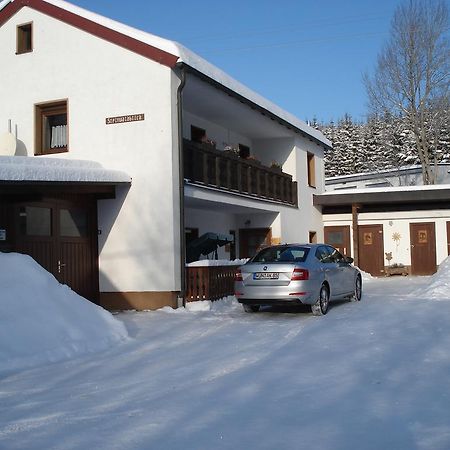 Apartamento Haus Steinwaldblick Bernlohe  Exterior foto